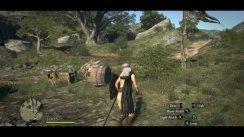 Dragon's Dogma