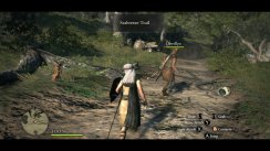 Dragon's Dogma
