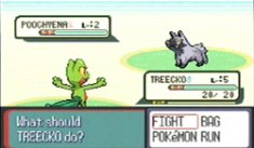 Pokemon Ruby/Sapphire