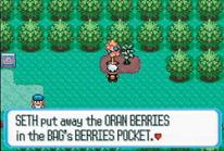 Pokemon Ruby/Sapphire