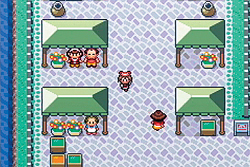Pokemon Ruby/Sapphire