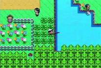 Pokemon Ruby/Sapphire