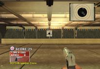 Gun