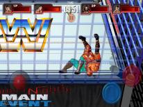 WWE Wrestlefest