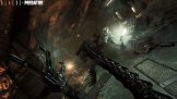 Aliens vs Predator