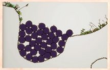 Blueberry Garden
