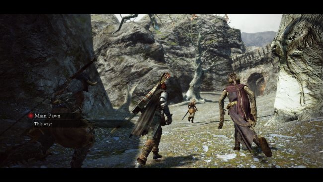 Dragon's Dogma