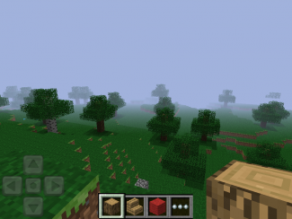 Minecraft: Pocket Edition