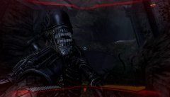 Aliens vs Predator