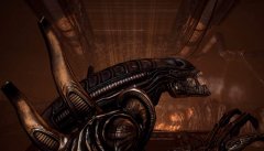 Aliens vs Predator