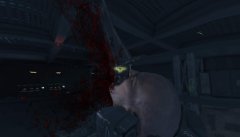Aliens vs Predator