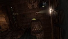 Aliens vs Predator