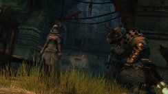Guild Wars 2