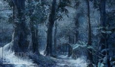 Crysis