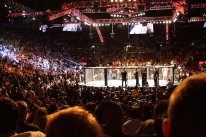 UFC 2010 Undisputed