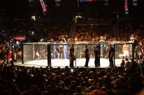 UFC 2010 Undisputed