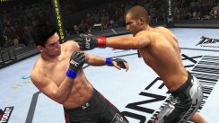 UFC 2010 Undisputed