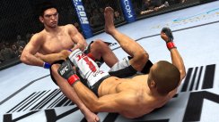 UFC 2010 Undisputed