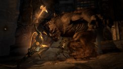 Dragon's Dogma