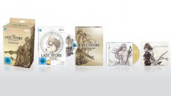 The Last Story