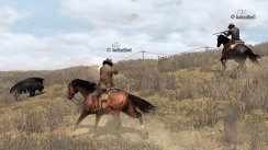 Red Dead Redemption