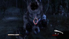Cabela's Dangerous Hunts 2011