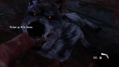 Cabela's Dangerous Hunts 2011