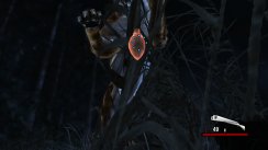 Cabela's Dangerous Hunts 2011