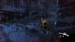 Cabela's Dangerous Hunts 2011