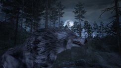 Cabela's Dangerous Hunts 2011
