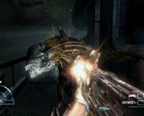 Aliens vs Predator