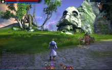 Tera