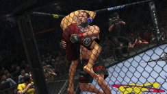 UFC 2010 Undisputed