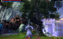 Tera