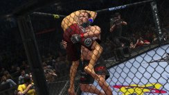 UFC 2010 Undisputed