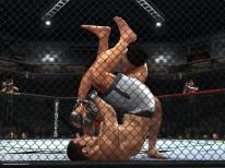UFC 2009: Undisputed
