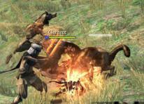 Dragon's Dogma