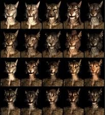 The Elder Scrolls V: Skyrim