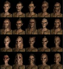 The Elder Scrolls V: Skyrim