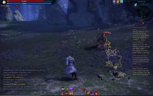 Tera