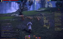 Tera