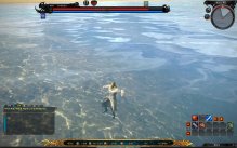 Tera