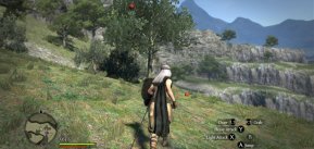 Dragon's Dogma