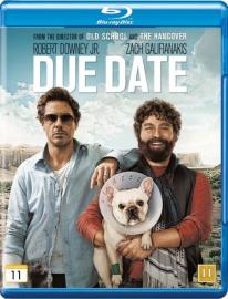 Due Date