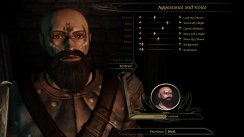 Dragon Age: Origins