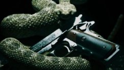 Hitman: Absolution