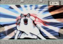 Okami
