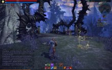 Tera