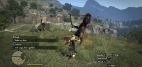 Dragon's Dogma