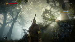 The Witcher 2: Assassins of Kings